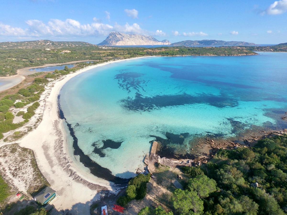 Iss Travel, Gli Asfodeli - Large Apartments With Private Terrace San Teodoro  Esterno foto