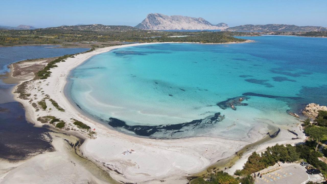 Iss Travel, Gli Asfodeli - Large Apartments With Private Terrace San Teodoro  Esterno foto