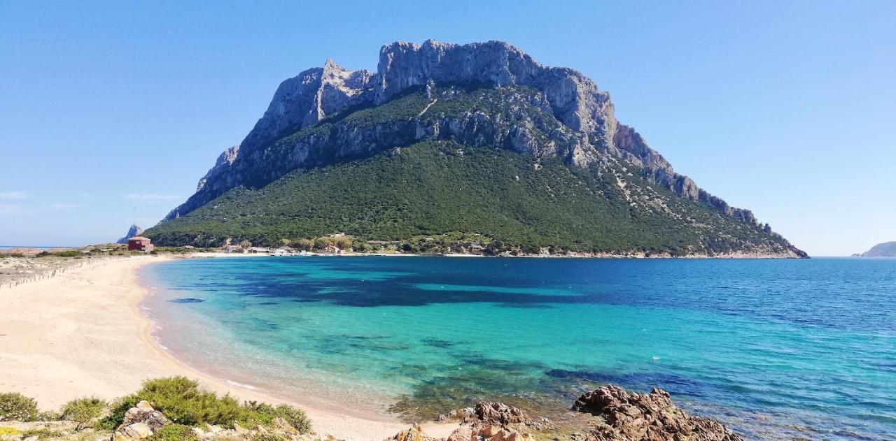 Iss Travel, Gli Asfodeli - Large Apartments With Private Terrace San Teodoro  Esterno foto